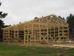 shed wood frame in progress